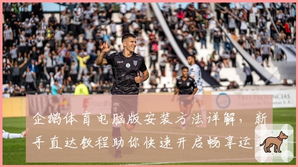 企鹅体育电脑版安装方法详解，新手直达教程助你快速开启畅享运动新体验