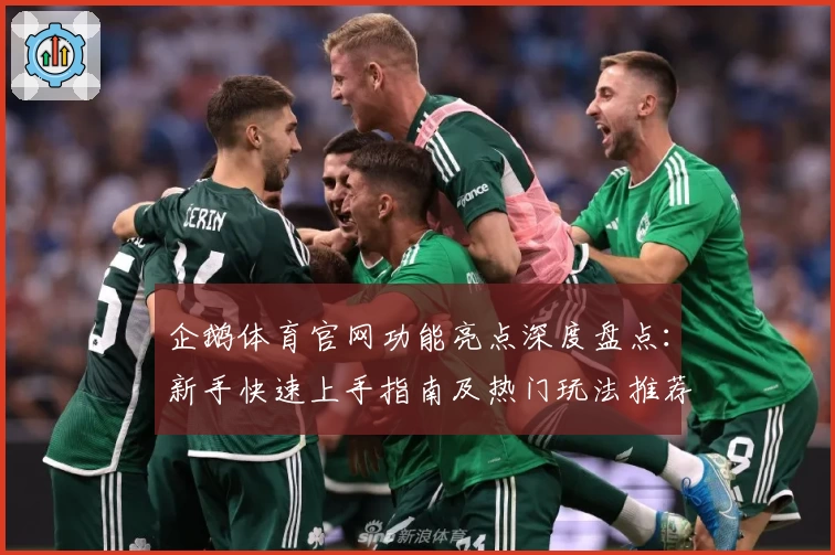 企鹅体育官网功能亮点深度盘点：新手快速上手指南及热门玩法推荐