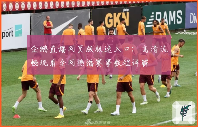 企鹅直播网页版极速入口:高清流畅观看全网热播赛事教程详解