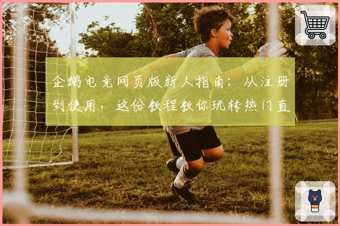 企鹅电竞网页版新人指南：从注册到使用，这份教程教你玩转热门直播平台