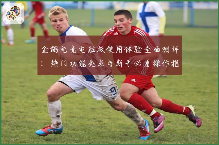 企鹅电竞电脑版使用体验全面测评：热门功能亮点与新手必看操作指南合集