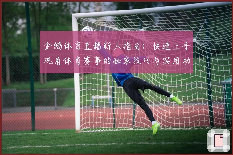 企鹅体育直播新人指南：快速上手观看体育赛事的独家技巧与实用功能解析