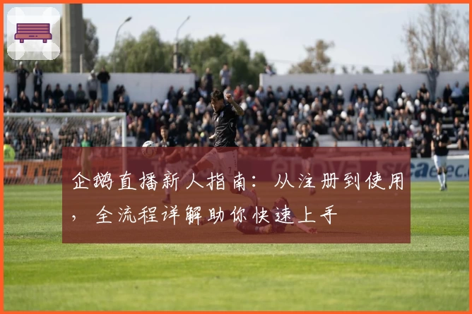 企鹅直播新人指南：从注册到使用，全流程详解助你快速上手